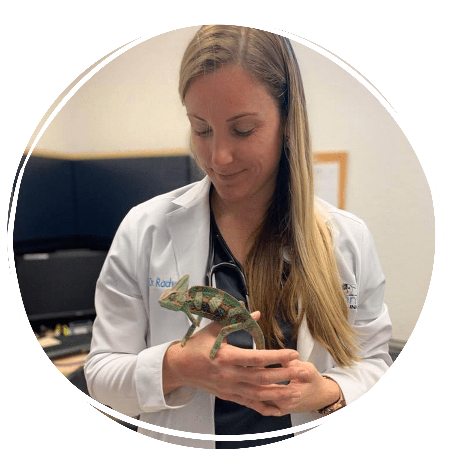 doctor holding lizard