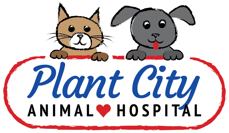 Plant-City-Logo-Final