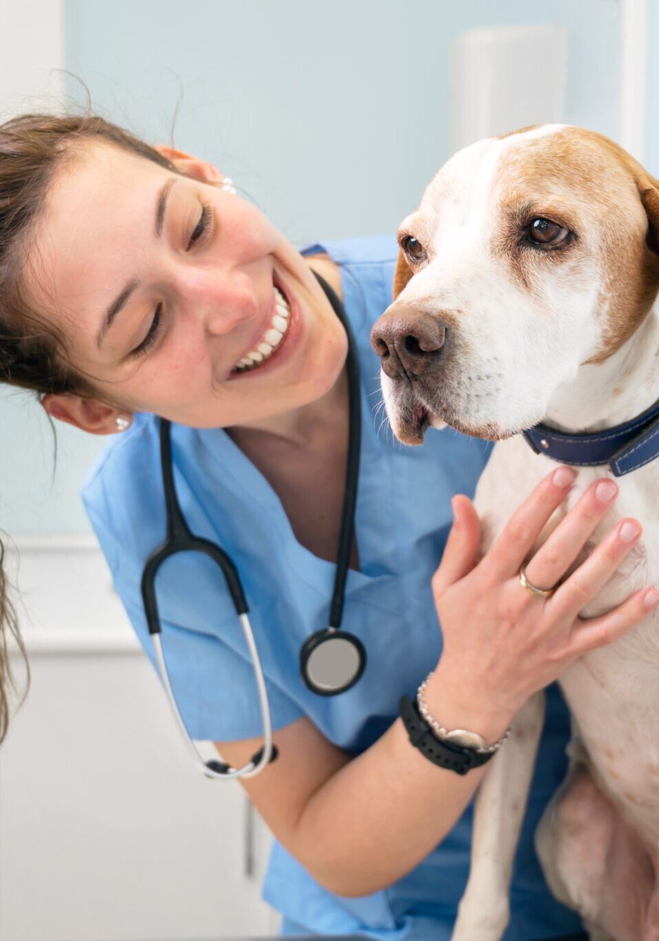how to prevent illness in dogs
